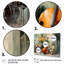 Chello Jazz Rhythms - musique, impressions sur toile-108381097-108381094