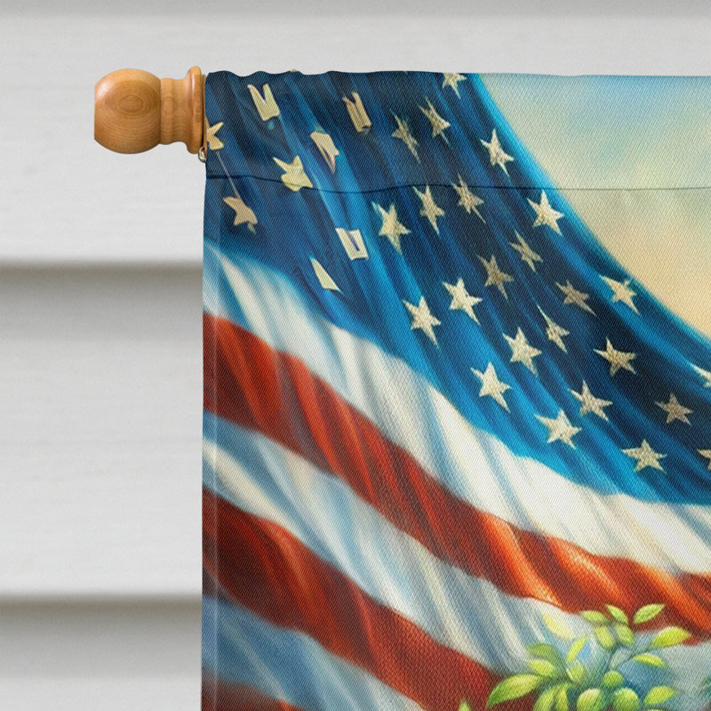Drapeau «All American House», Chihuahua