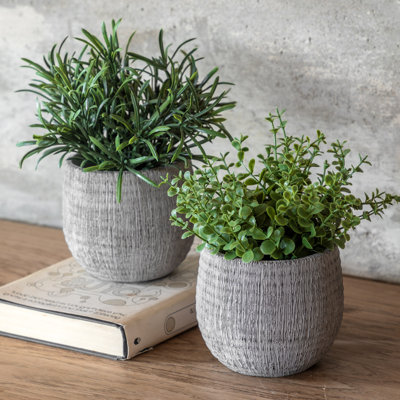 Potted Plant Ceramic Scratch Pot Rosemary