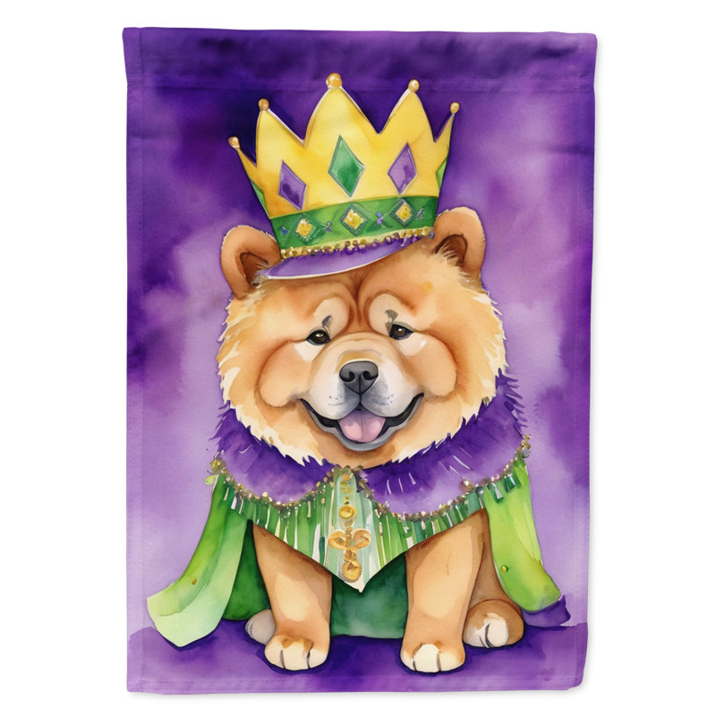 Double Sided 40'' H x 28'' W Polyester Mardi Gras House Flag