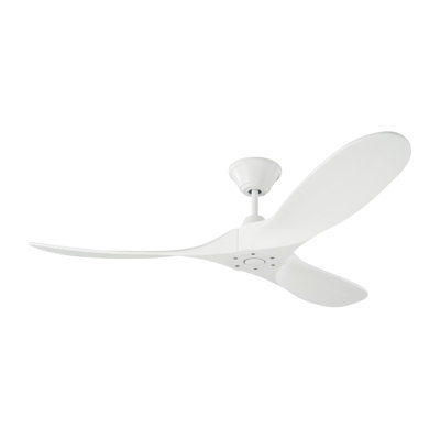 Obsidian Ceiling Fan