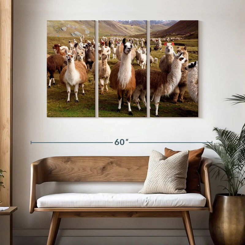 Brampt Llamas And Alpacas, 32" H x 50" W