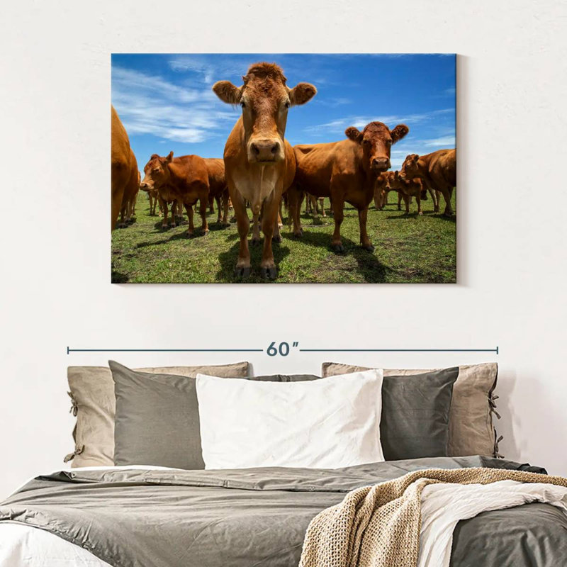 Crowle Gathering Beef Cattle, 32" H x 48" W