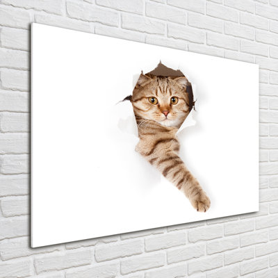 Cat - No Frame Print on Glass