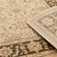 Aguilar Oriental Area Rug-14461943