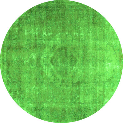 Entonio Performance Oriental Indoor Rug
