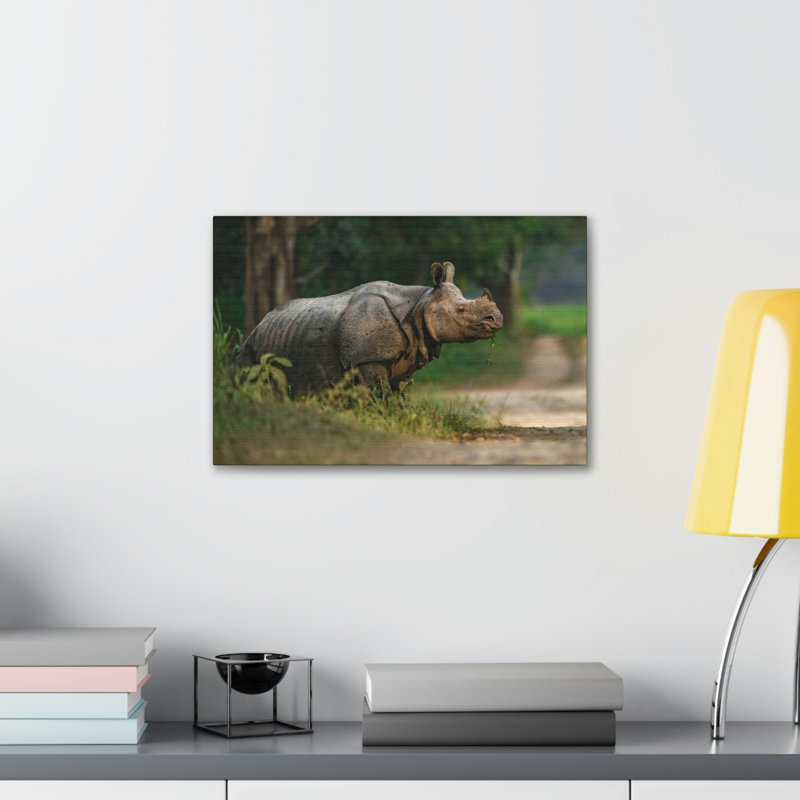 Art mural de majestueux rhinocéros