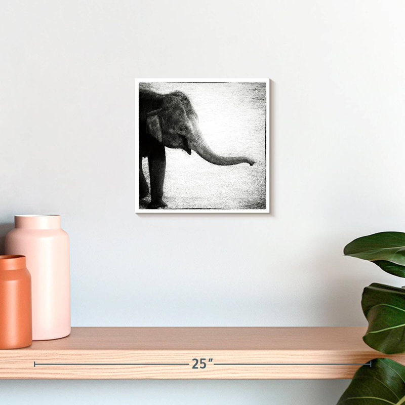 Crowle Baby Elephant Monochrome, H 10 po x l 10 po