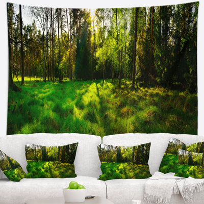 Paysage, forêt verte, coucher de soleil, tapisserie panoramique