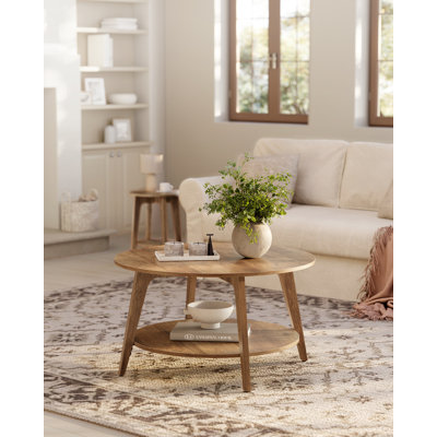 Byadbo Floor Shelf Coffee Table with Storage
