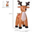 Weather Resistant Christmas Decoration