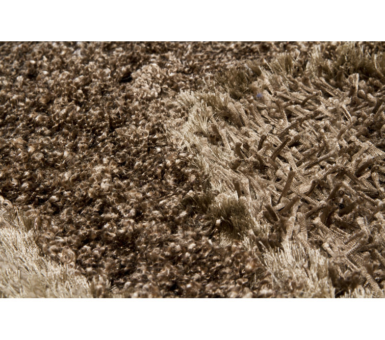 Areva Abstract Area Rug in Brown