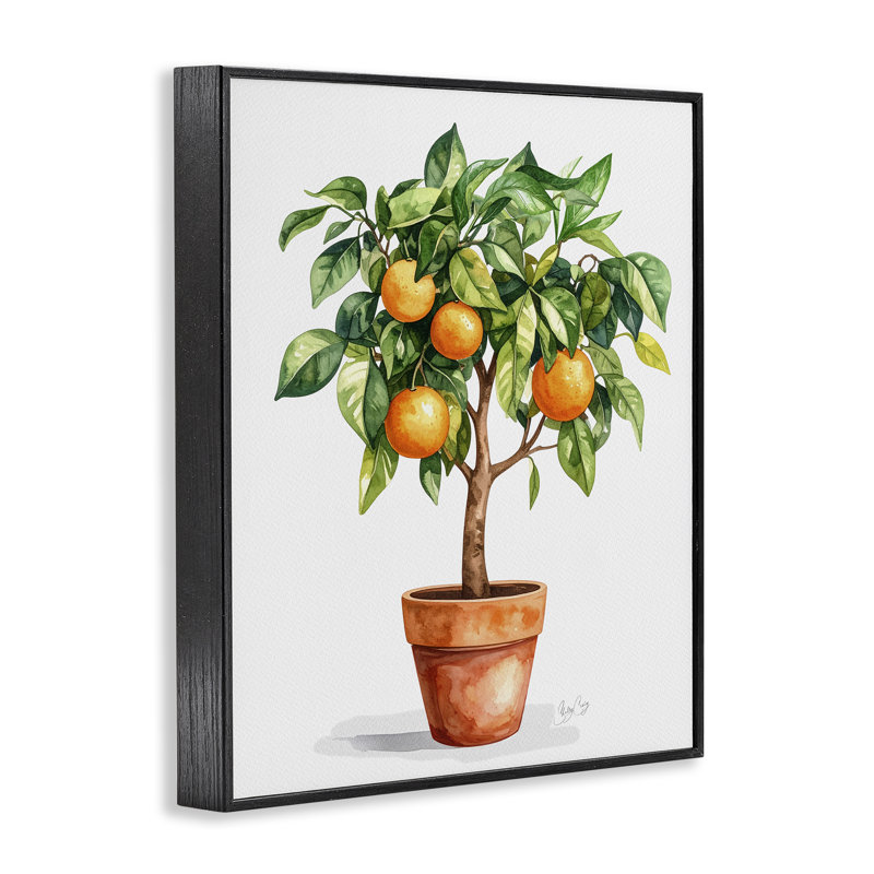 Giclée encadrée d'arbre d'orange en pot, design par Shelly Craig, Giclée noire de minuit encadrée, H 14 po x l 11 po