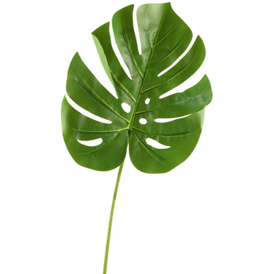 Large Philo Split Leaf Stem