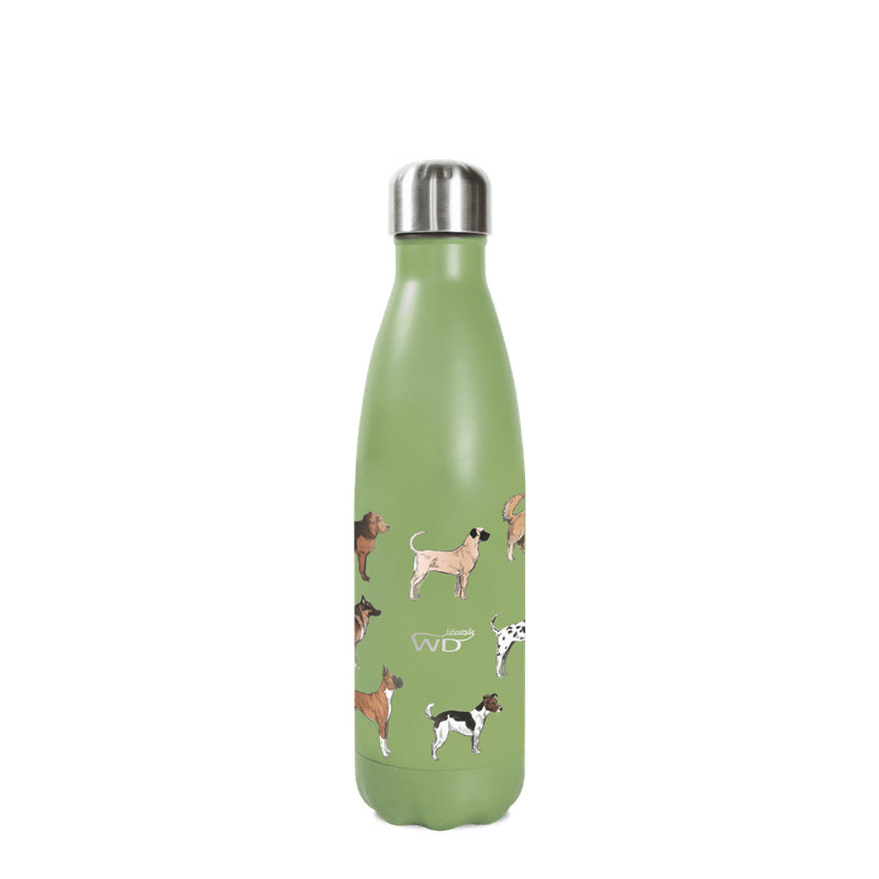 16,9 oz. WD Lifestyle Bouteille d'eau isolée en acier inoxydable