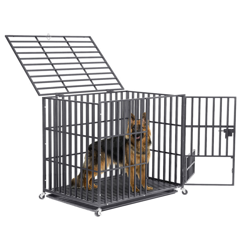 Metal Caster For Pet Crate, 35" H x 42" W x 30.5" D
