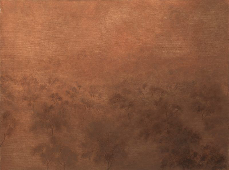 Flesh Of The Earth by Aileen Fitzgerald, 36" H x 48" W x 2.5" D