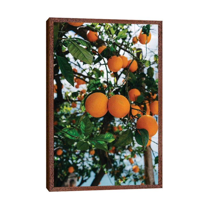 Amalfi Coast Oranges III by Bethany Young - Print on Canvas, Classic Brown Wood Framed, 101.6cm H x 66.04cm W x 3.81cm D
