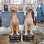 Pair Whippet Figurine