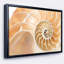« brown nautilus shell pattern », reproduction d’impression encadrée sur toile tendue-26669717