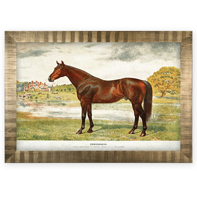 Equine Sketch XXVII Framed Oil Painting Print on Canvas