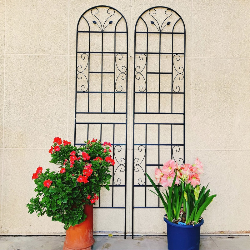 Ensemble de 2 treillis de jardin en métal 86,7 "x 19,7" antirouille pour plantes grimpantes support de fleurs extérieur noir
