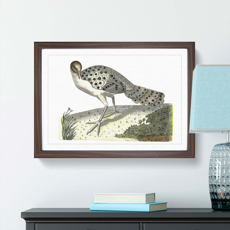 Thibetian Peacock by George Shaw - Framed Print, 36cm H x 48cm W x 2cm D, Walnut Framed