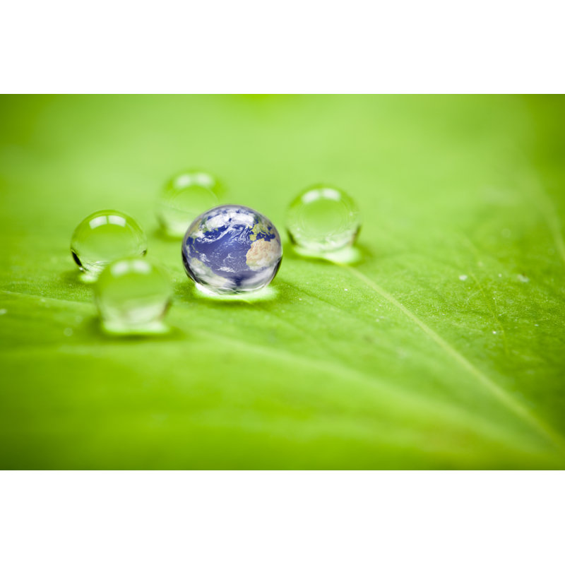 Planet earth waterdrop leaf, 81cm H x 122cm W