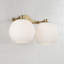 Ansley 2 Light Frosted Dimmable Vanity Light-94393071