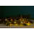 6cm LED String Lights