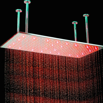 Pomme de douche à pluie réglable 2,5 GPM GPM avec autonettoyant