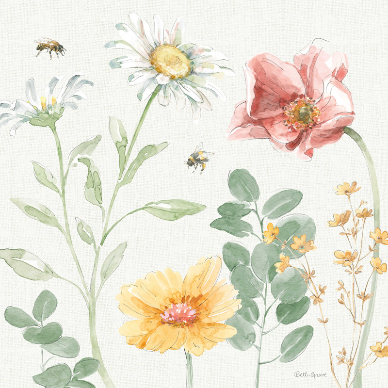 Daisy Days II, H 12 po x l 12 po