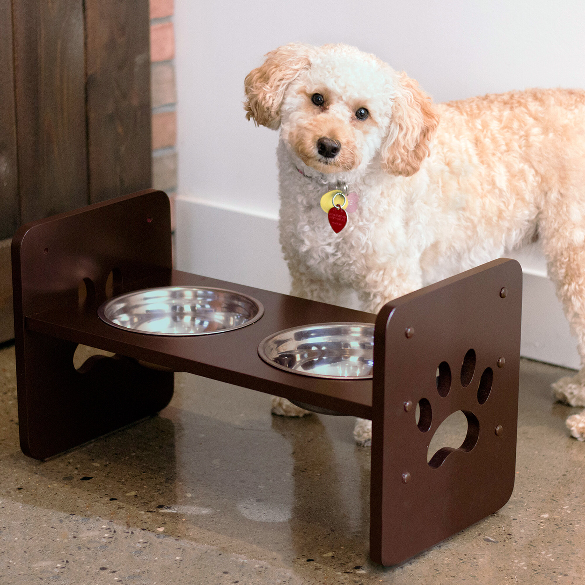 Tucker Murphy Pet™ Batton Elevated Feeder & Reviews | Wayfair