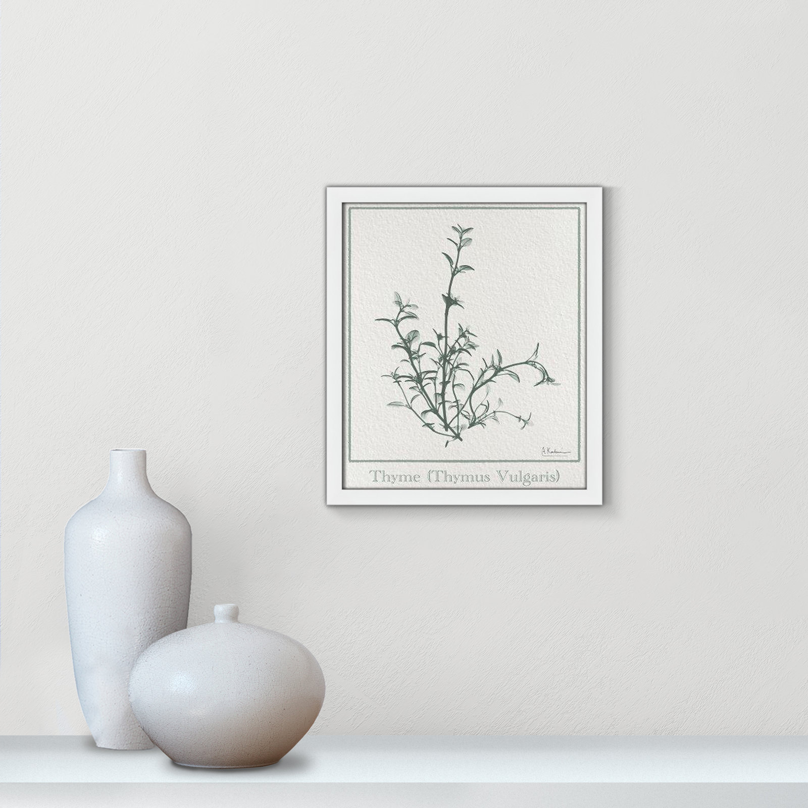 Jeanette "Thymus Vulgaris" Print, 15" H x 13" W x 1.25" D, Satin White Framed Paper
