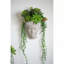 Petit vase mural en ciment 6,7 x 5,5 x 8,7 po Visage