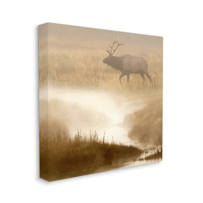 «Foggy River Deer Scene» par Danita Delimont, reproduction de photo sur cadre simple