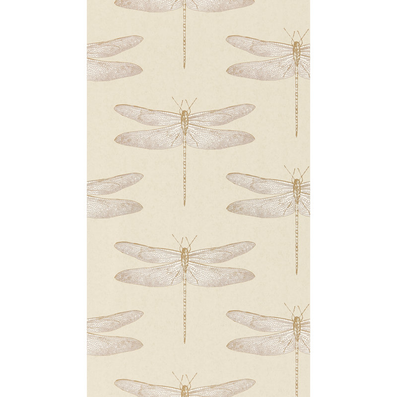 Demoiselle Wallpaper, Shell