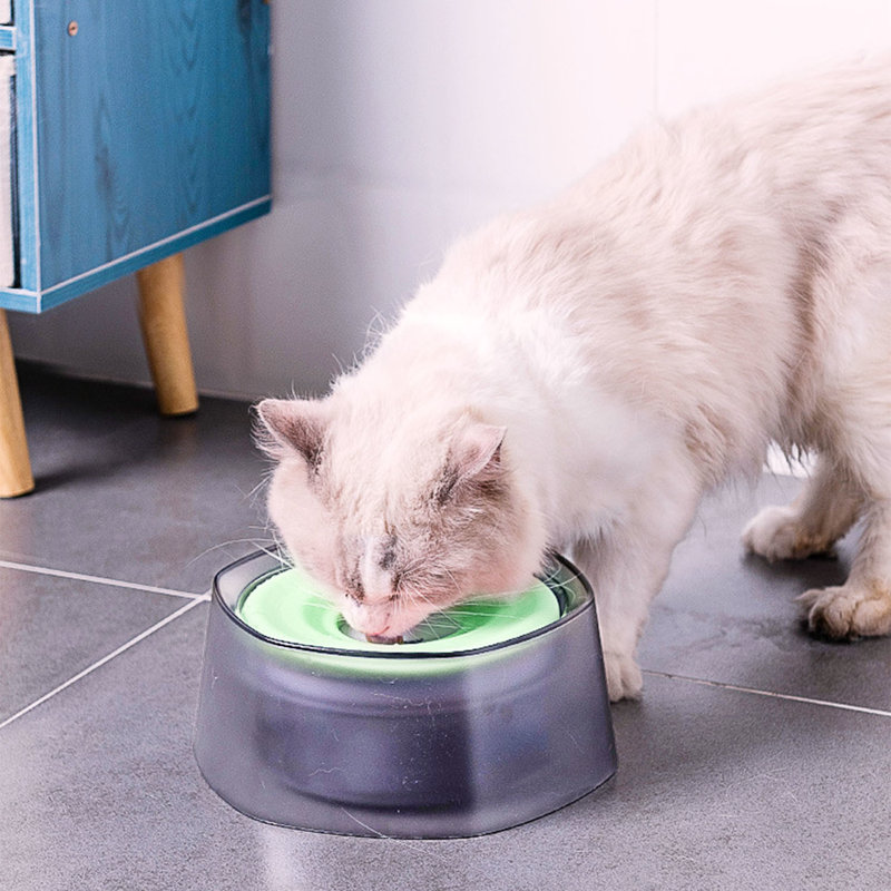 Pet Bowl, Green