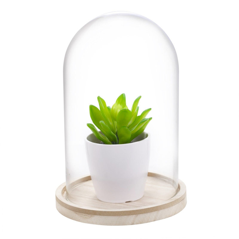 Landscape & Nature Cloche Or Water Globe