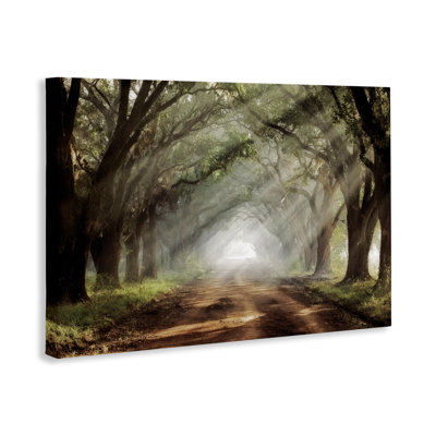 Toile Evergreen Grove ensoleillée, design par Mike Jones