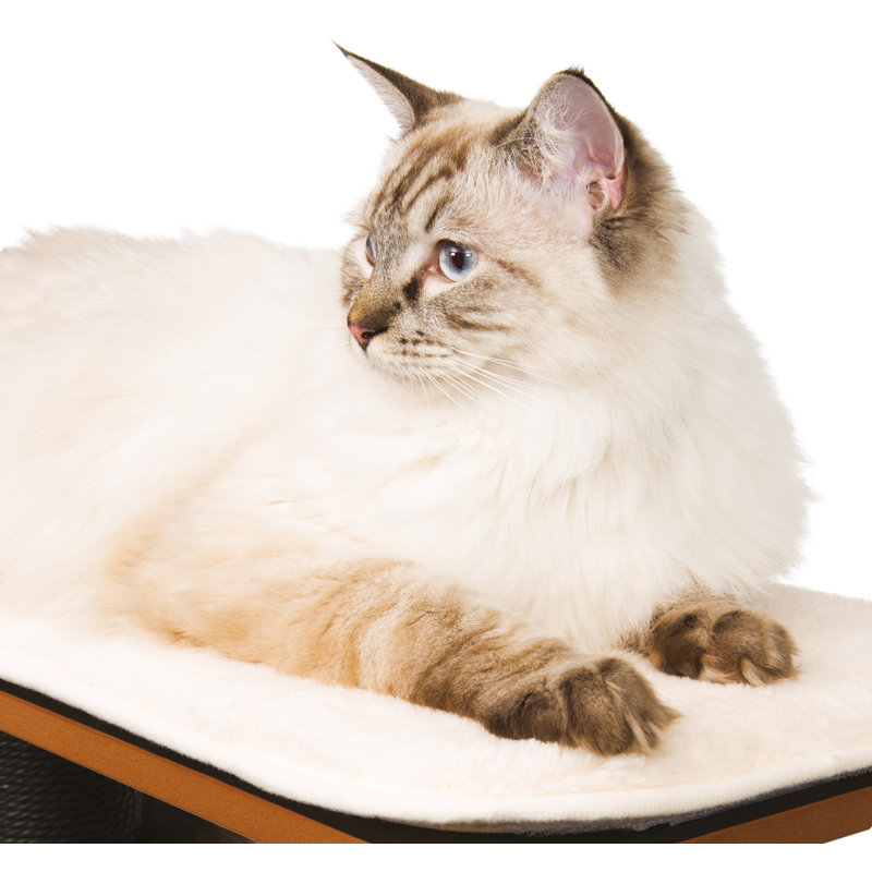 Catit Vesper High Base Black