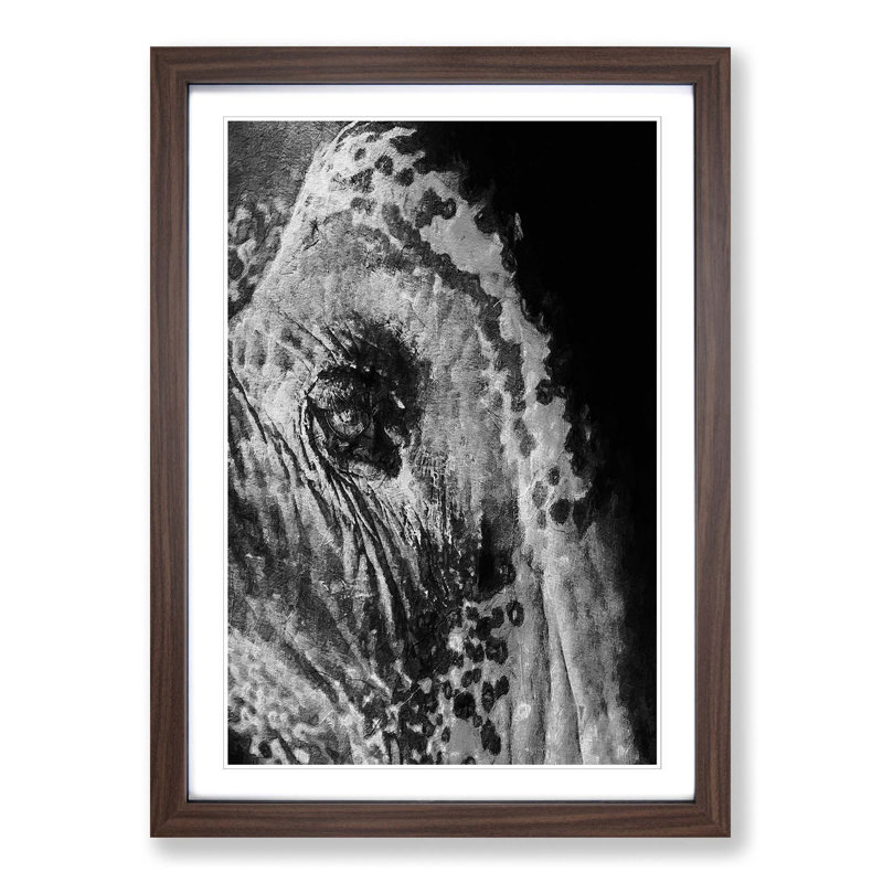 Watchful Elephant - Picture Frame Painting Print, Walnut Framed, 48cm H x 36cm W x 2cm D