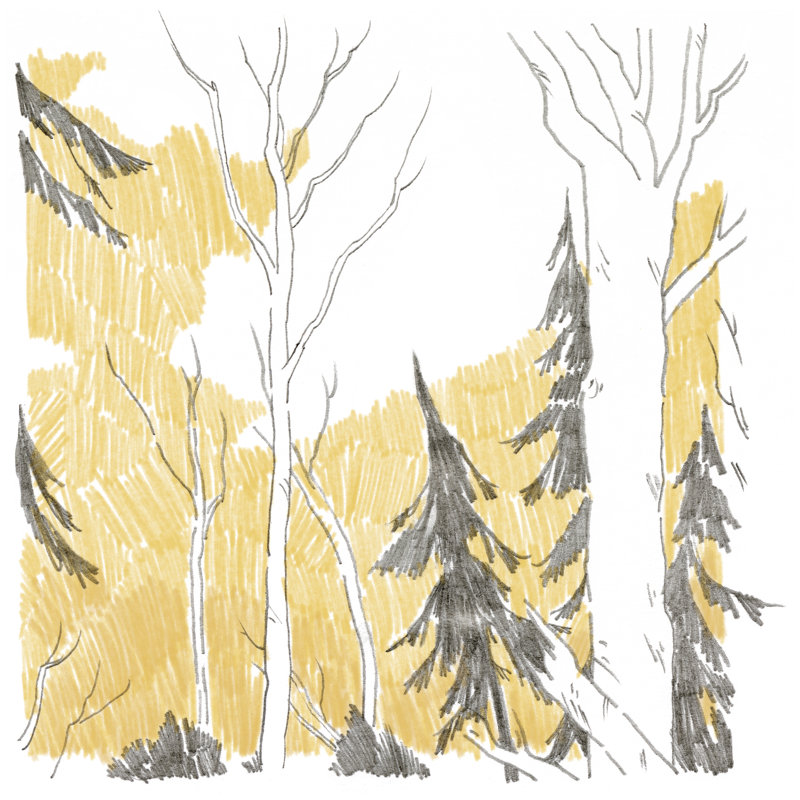 Northwood I by Jacob Green - Wrapped Canvas Painting, 122cm H x 122cm W