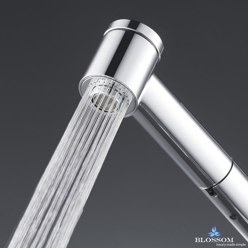 Blossom Pull Down Kitchen Faucet, Brush Nickel/Black