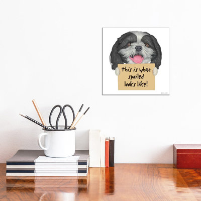 Shih Tzu Spoiled Looks Like - Wrapped Canvas Gallery-Wrapped Canvas Giclée