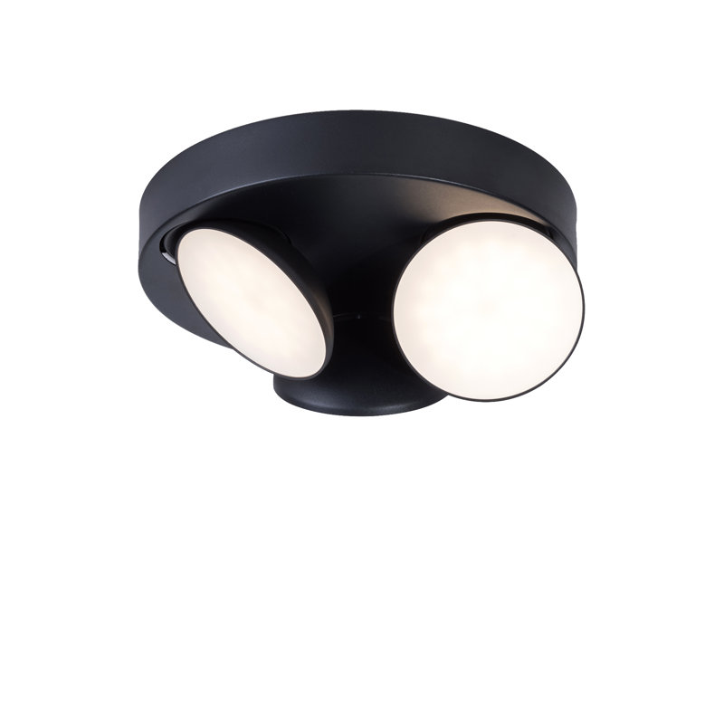Babsi LED Spotlight