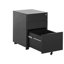 Bronnie 50cm Wide 3 -Drawer Mobile File Cabinet-225220810