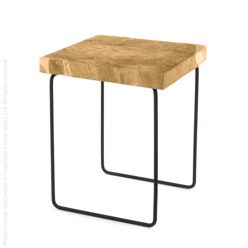 Golden Teak and Matte Black Steel End Table