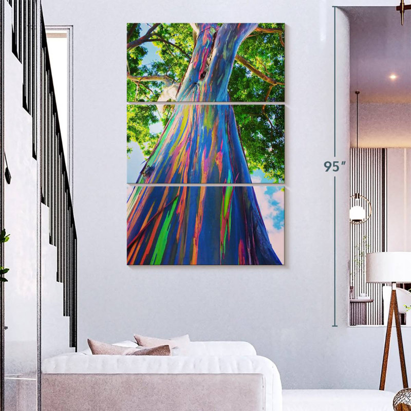 Harnek Oahu Rainbow Eucalyptus Tree, 57" H x 36" W