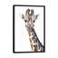 Girafe sur blanc par George Dyachenko - impression sur toile-72121796-72121798-72121803